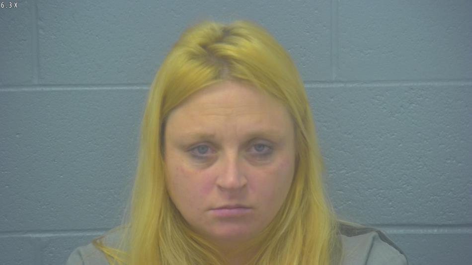 Arrest photo of AUDREY HODGE 